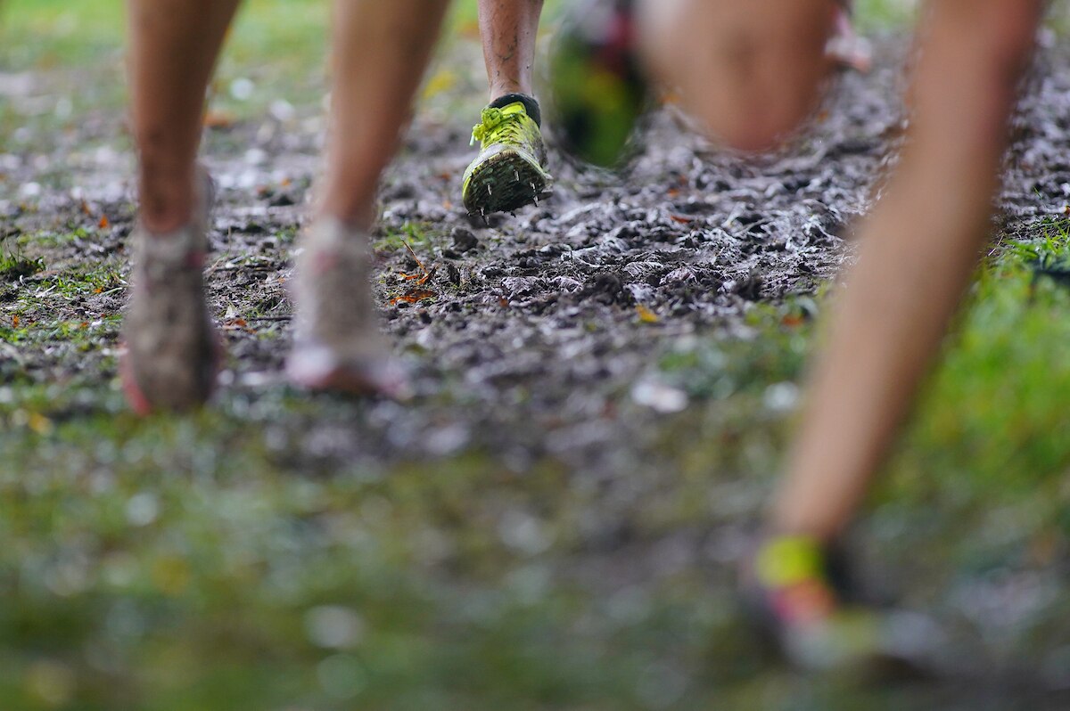 NCAA Division II cross country
